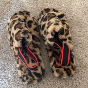 Cheetah slides